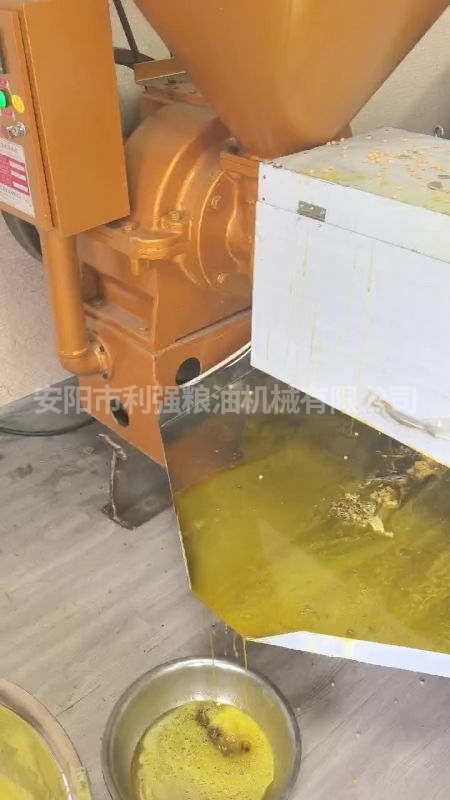 大豆冷轧螺旋榨油机
